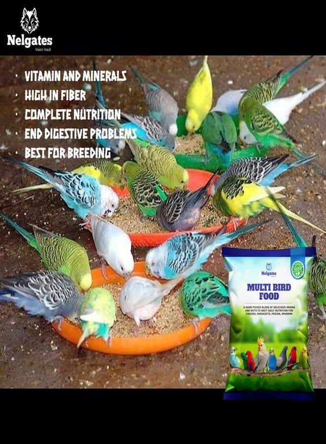 Nelgates Multi Bird Food | Premium Blend for Lovebirds, Cockatiels, Conures, Parrots, Cockatoos & Sparrows | Provides Energy & Essential Support 500g - Image 3